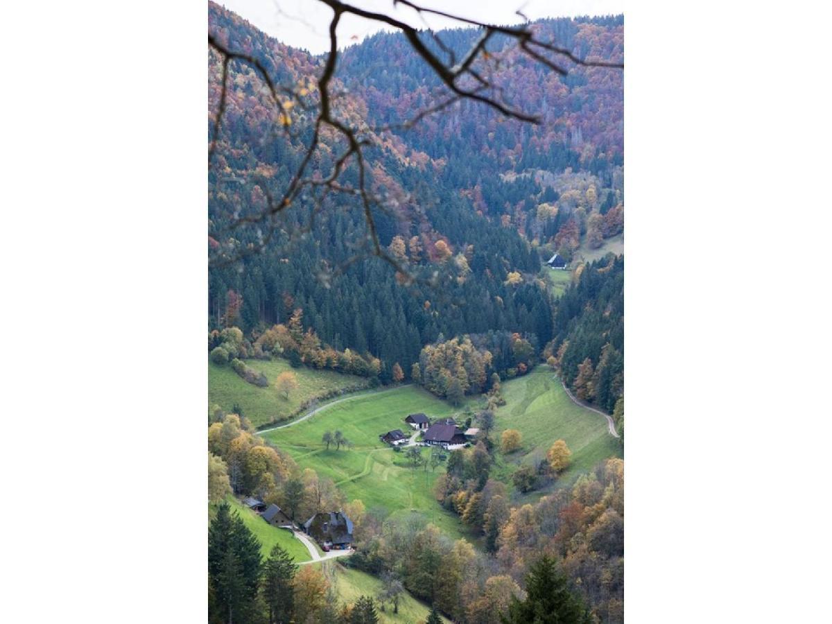 Berghotel Und Restaurant Kraeuter Chalet 푸르트완겐 외부 사진